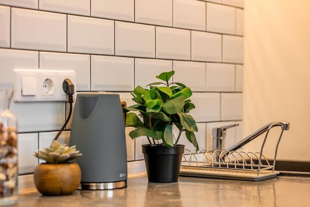 Brenda Design Home Budapeşte Dış mekan fotoğraf